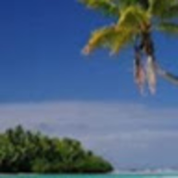 Meet your Posher, Tony - Picture 1 of 1